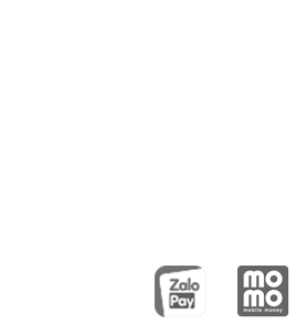 thanh toán 100vip